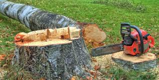 Best Firewood Processing and Delivery  in Lake Elsinore, CA